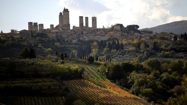 Best wine tour destinations 2025