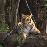 Photographer winners