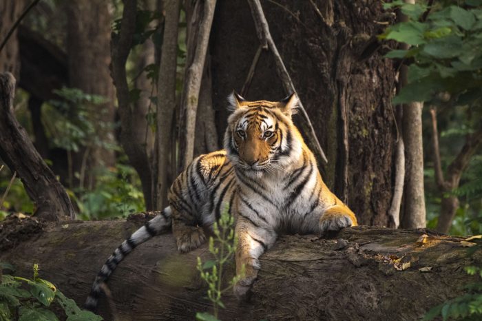 Photographer winners