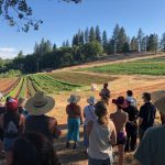 Agricultural zimbabwe