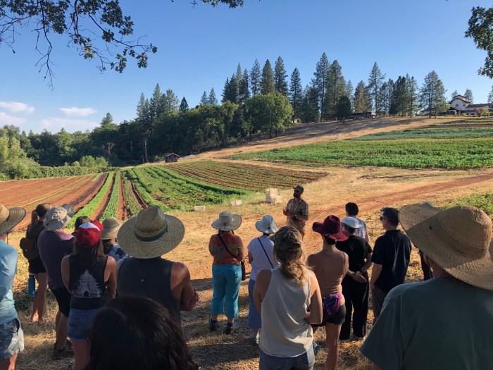 Agricultural zimbabwe